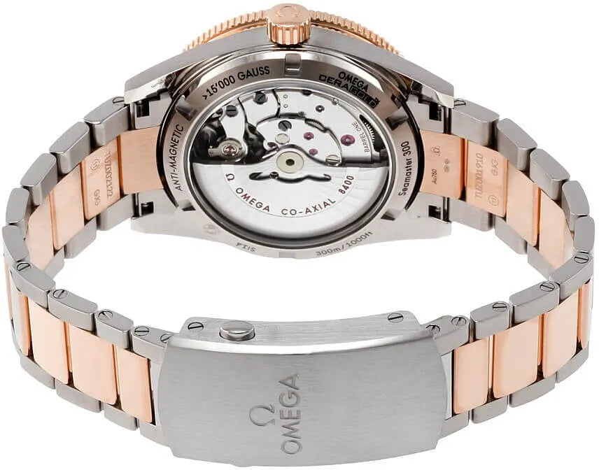 Omega Seamaster Blue Two-Tone - Hình 3